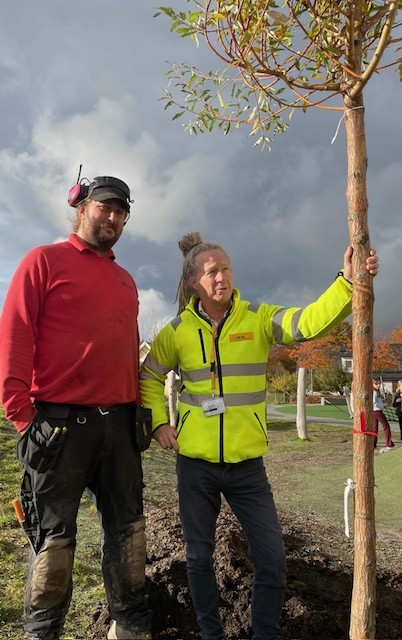 Grönare skolmiljö vid Töjnaskolan